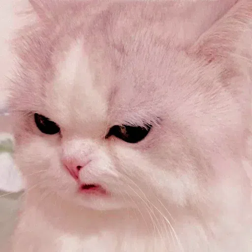 Animalcute - Sticker 10