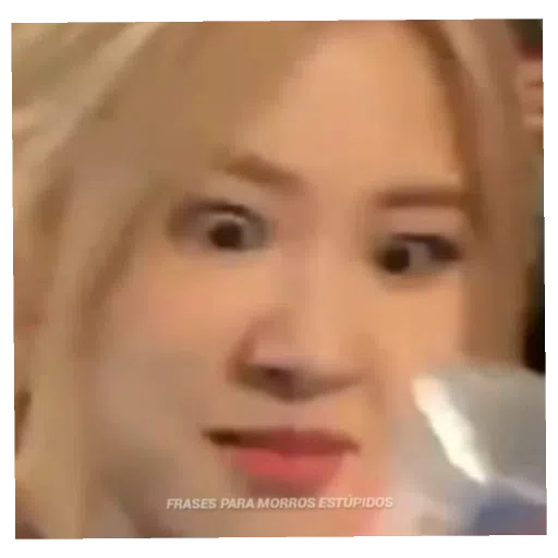 BlackPinku - Sticker 24