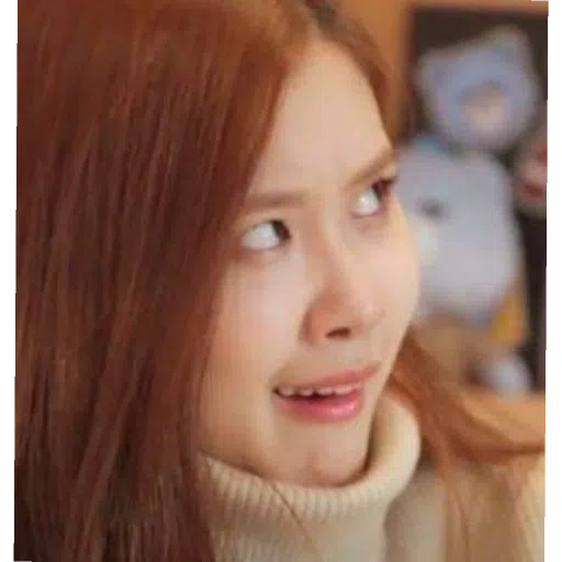 BlackPinku - Sticker 13