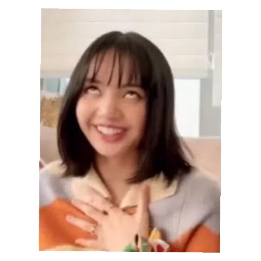 BlackPinku - Sticker 15