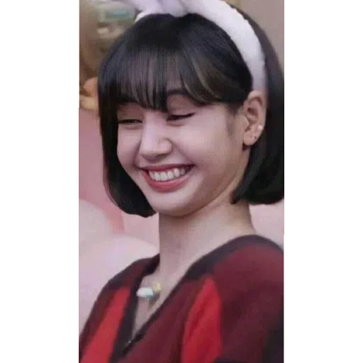 BlackPinku - Sticker 29