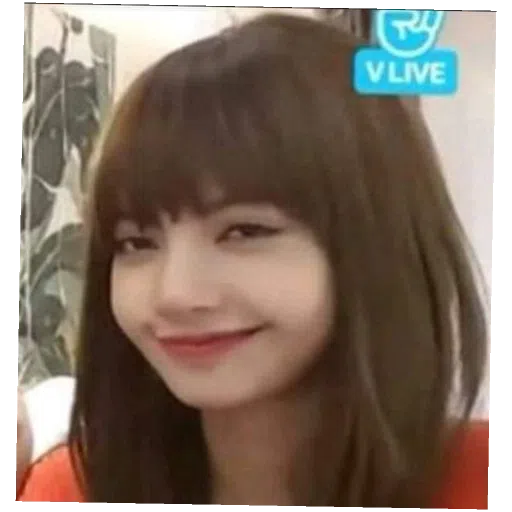 BlackPinku - Sticker 9