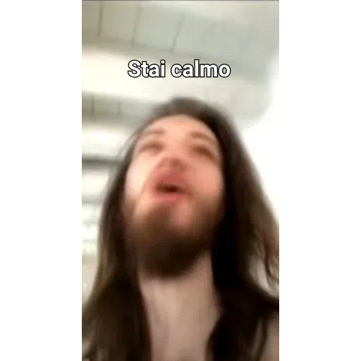 Sei proprio un ladro - Sticker 17