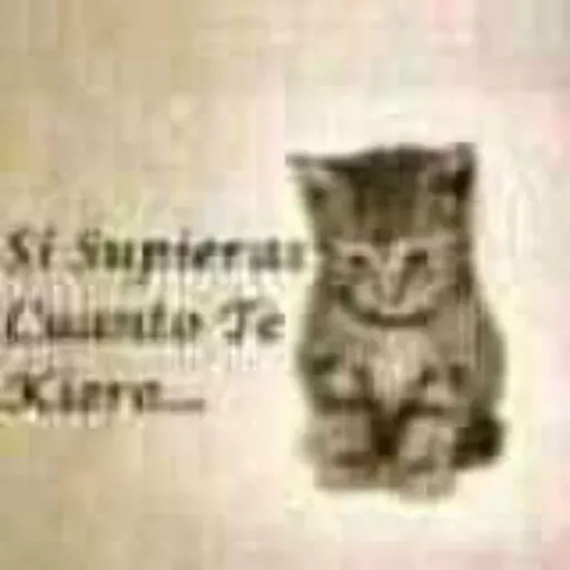 Cats - Sticker 11