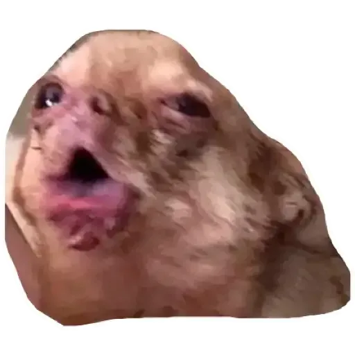 Stickers1 - Sticker 17