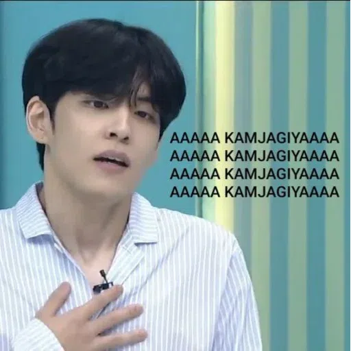 Day6 Meme - Sticker 19