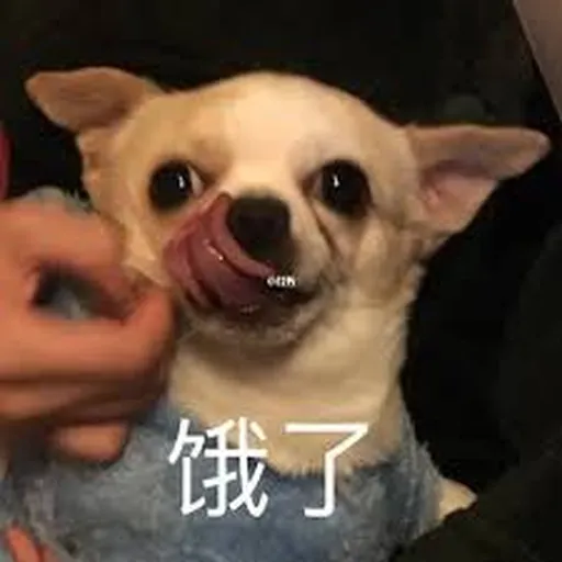 吉掰狗勾 - Sticker 19
