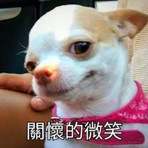 吉掰狗勾 - Sticker 11
