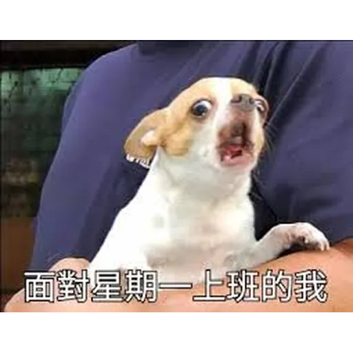 吉掰狗勾 - Sticker 13