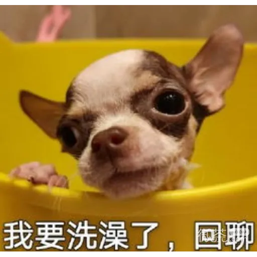 吉掰狗勾 - Sticker 21