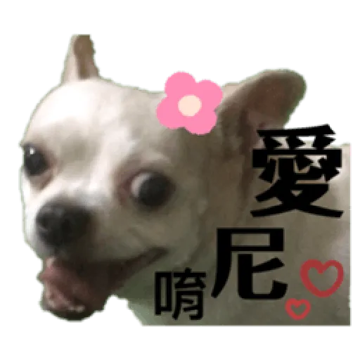 吉掰狗勾 - Sticker 12
