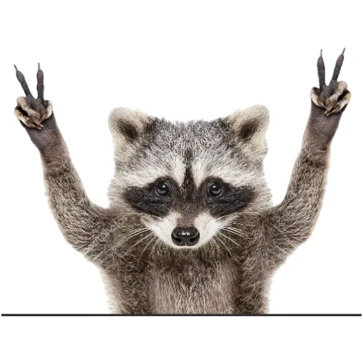 Animals & Cartoons - Sticker 9