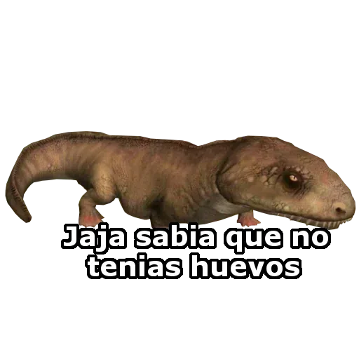 Wtf - Sticker 21