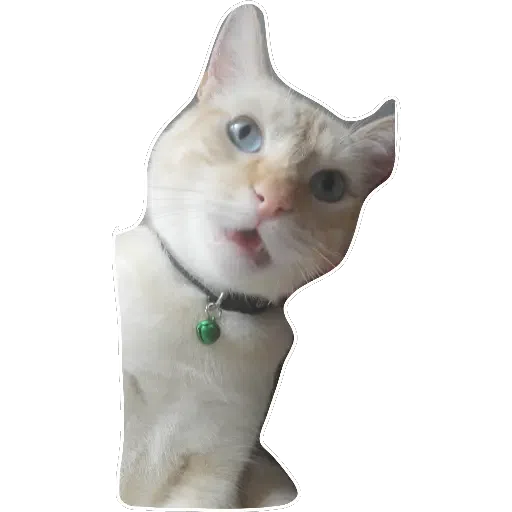 Wtf - Sticker 30