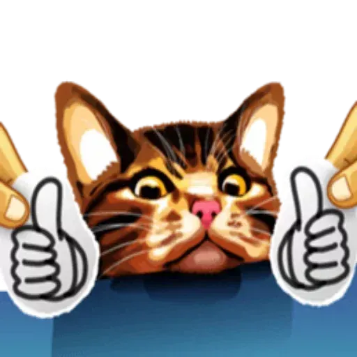 MemeTheCat - Sticker 13