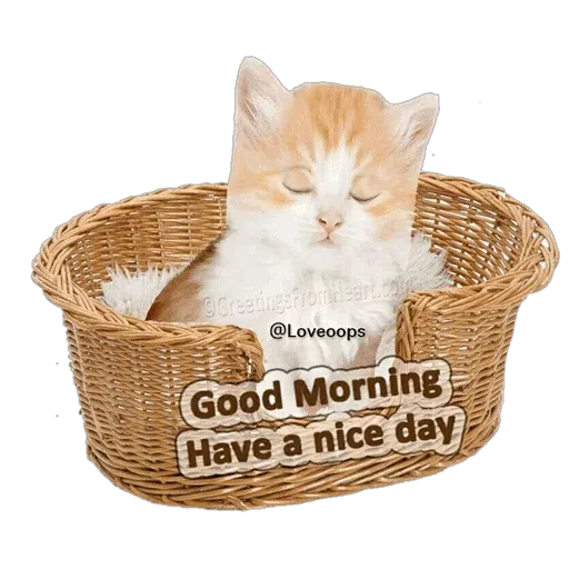 LoveoppS good morning 2 - Sticker 10