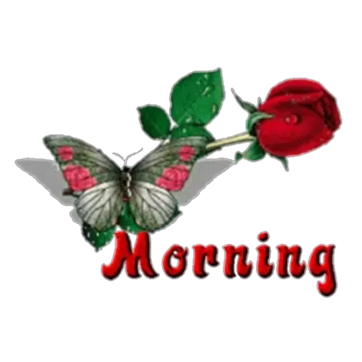 LoveoppS good morning 2 - Sticker 14
