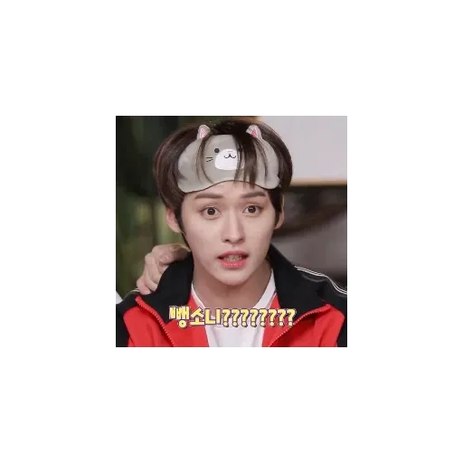 skz random meme - Sticker 18