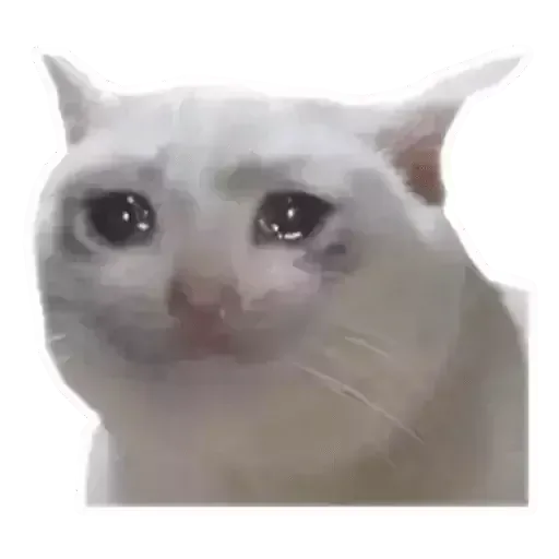 Sad - Sticker 12