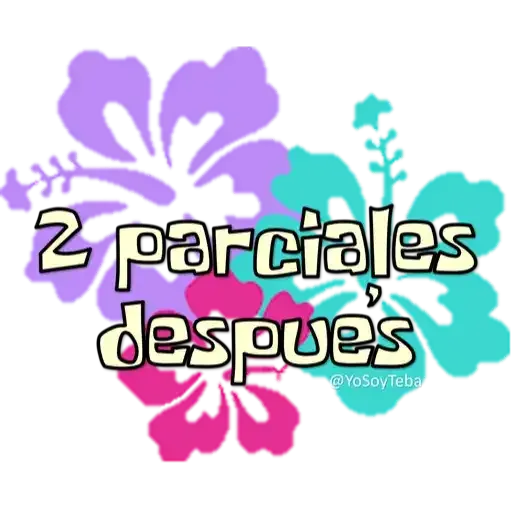 Frases Bob Esponja Español - Sticker 19