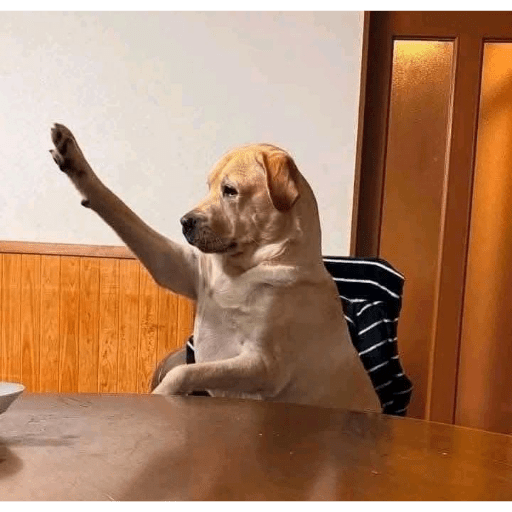 TikTok Stickers 5 - Sticker 25