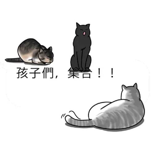 cat words - Sticker 29