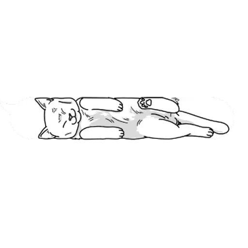 cat words - Sticker 21