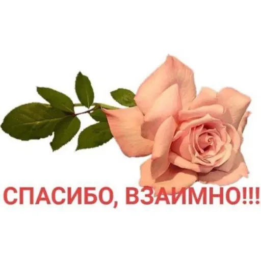 Bitmk - Sticker 17
