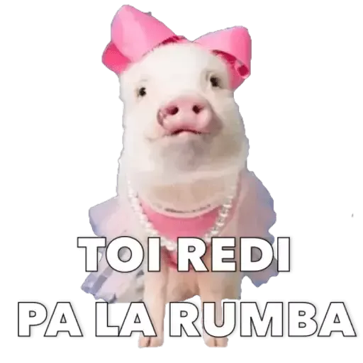 Puerquito - Sticker 18