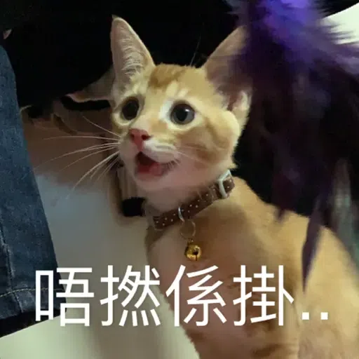旺財 - Sticker 10