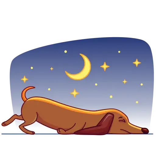 Salchicha Dog - Sticker 10