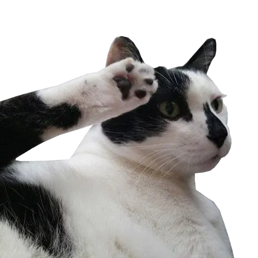 F for respect - Sticker 19