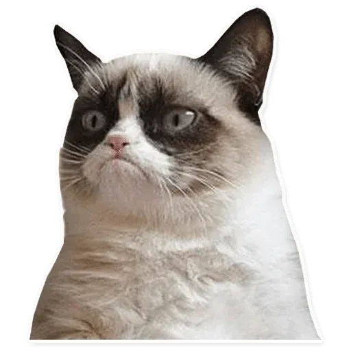 Enana Flork 3 - Sticker 24