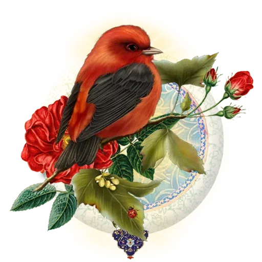 Honar - Sticker 25