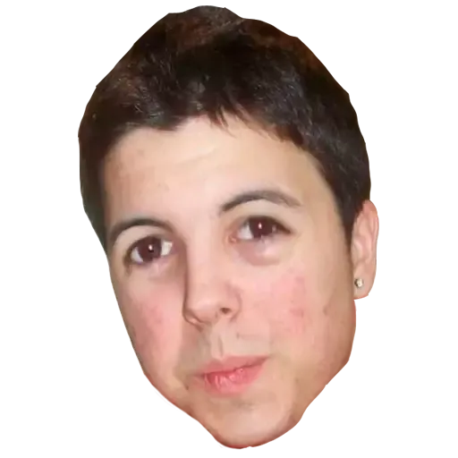 Willyrex - Sticker 14