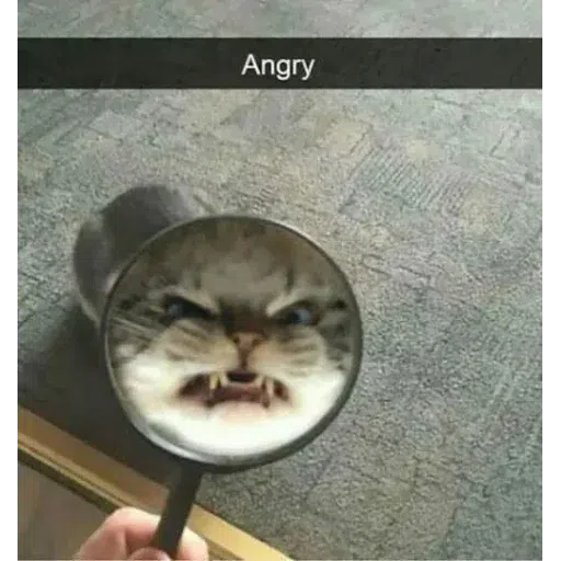 9Gag - Sticker 16