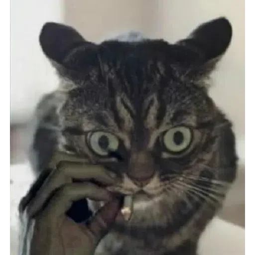 9Gag - Sticker 11