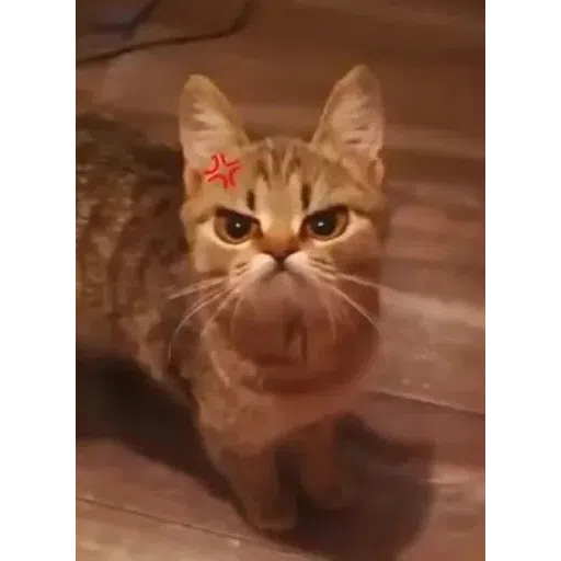 9Gag - Sticker 14