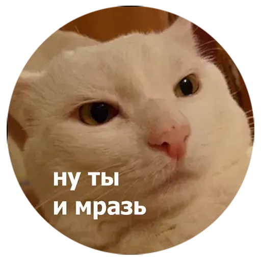 aleshaanimals - Sticker 29
