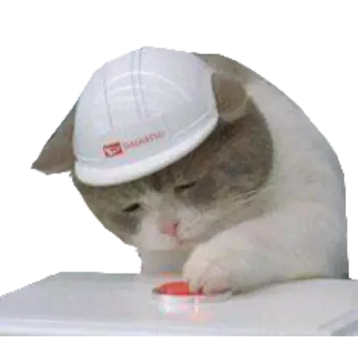 aleshaanimals - Sticker 24