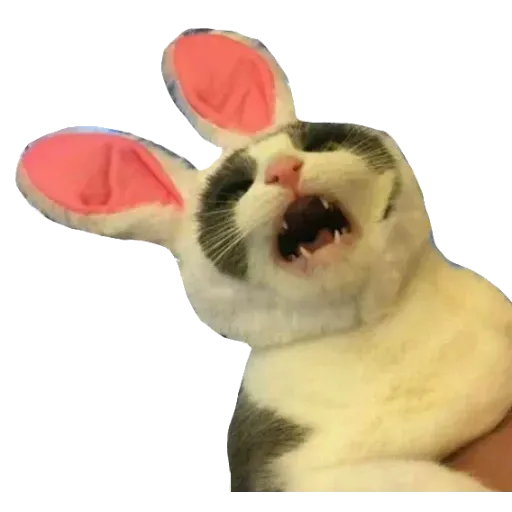 aleshaanimals - Sticker 23