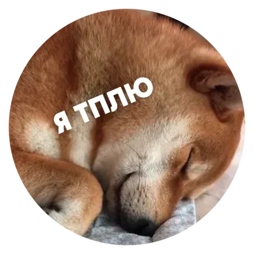 aleshaanimals - Sticker 22