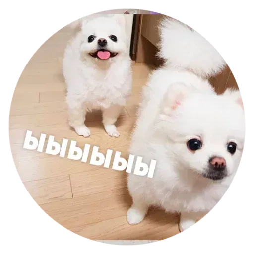 aleshaanimals - Sticker 18
