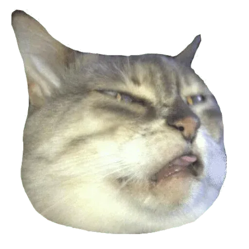 aleshaanimals - Sticker 26
