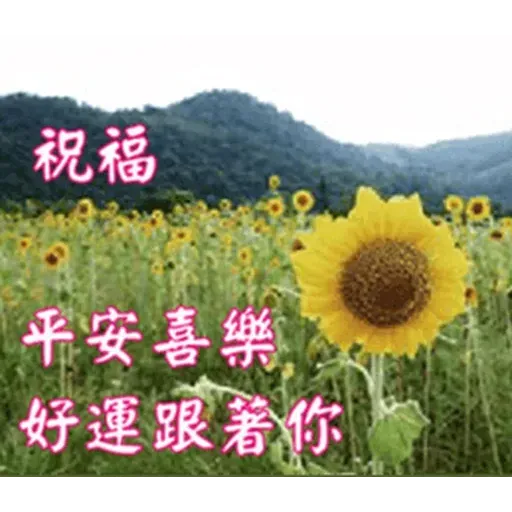 長輩圖1 - Sticker 9