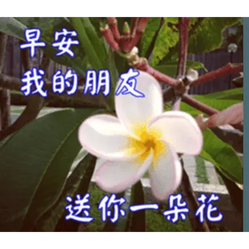 長輩圖1 - Sticker 18