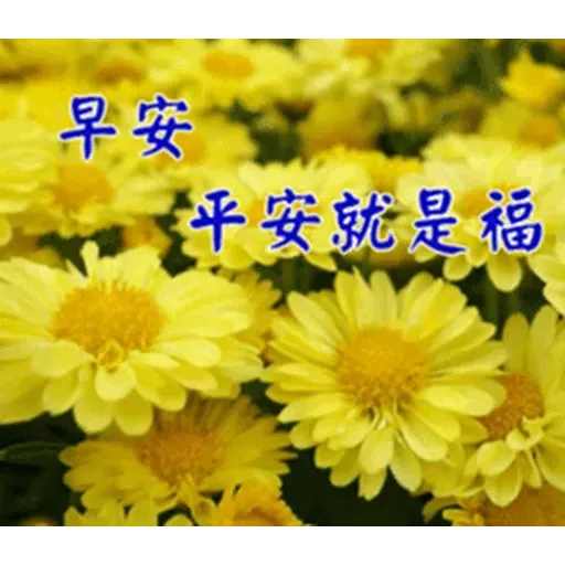 長輩圖1 - Sticker 19
