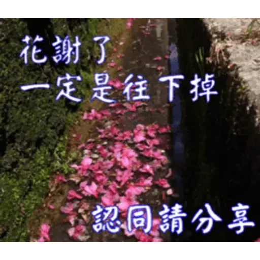 長輩圖1 - Sticker 20