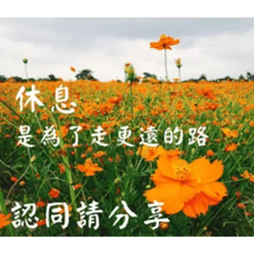 長輩圖1 - Sticker 10