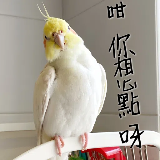 Haru Kumo - Sticker 11
